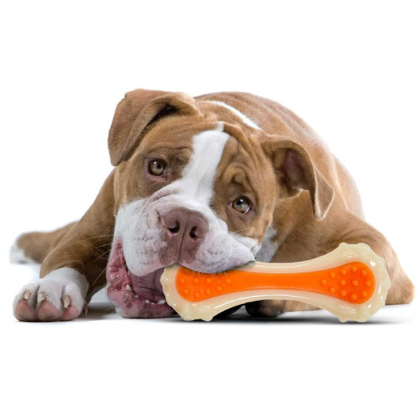 Dental Bone Chew